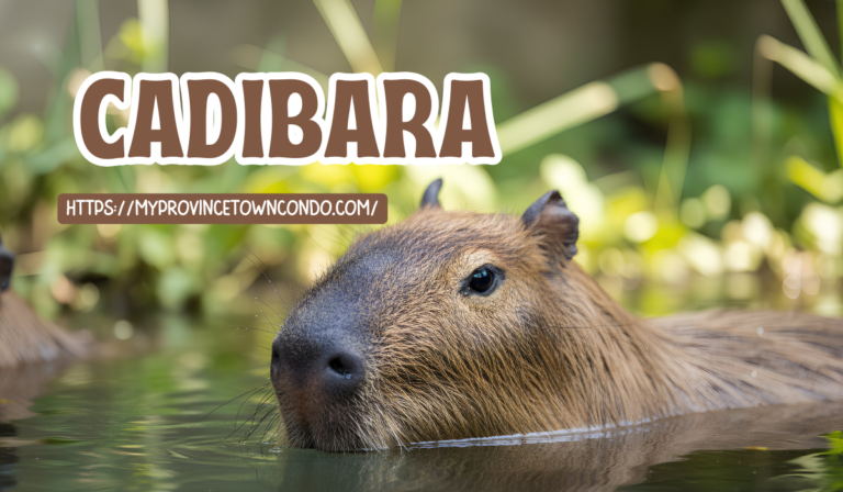 Cadibara: The Gentle Giant of the Wetlands Cadibara